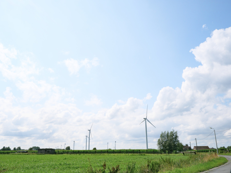 c-stefaan-van-damme-1003102-web