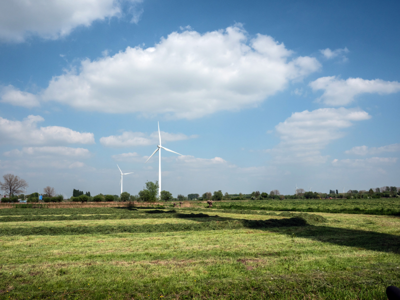 c-stefaanvandamme-vermelden-p1024799-79