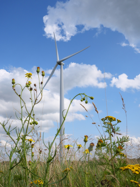 c-stefaan-van-damme-1003161-web