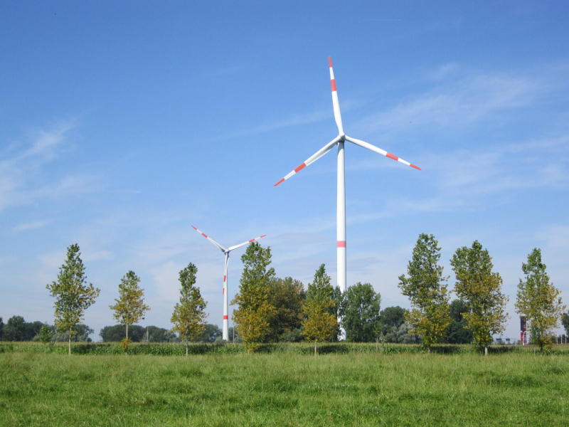 f0b7875b-07c4-492f-95d9-d1397e5ecb04