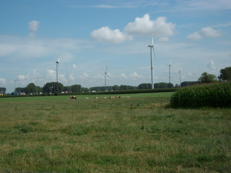 9b005aae-454b-49df-8c79-f6fc63dc8ce0