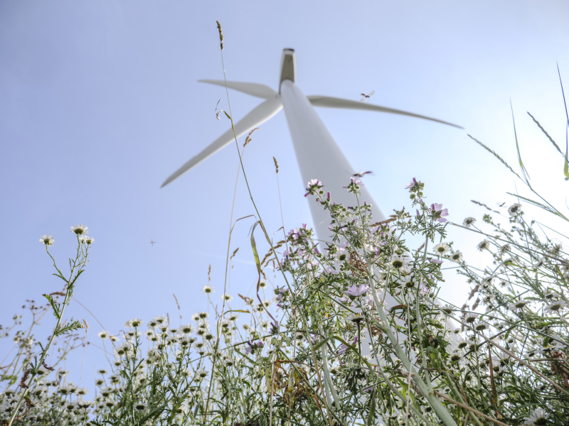 c-brand-ink-p1580823-verbeterd-nr-1-web