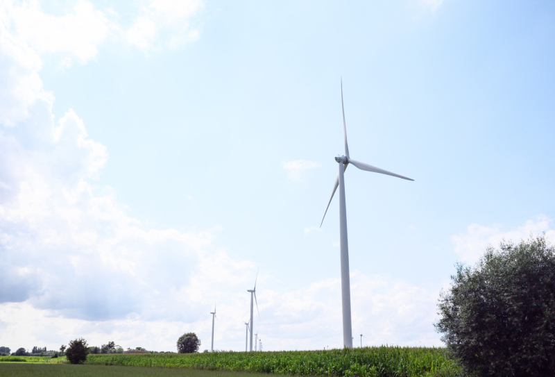 c-stefaan-van-damme-1003092-web